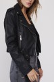 Pistola - Women's Tracy Cropped Moto Jacket - Rav-Raven